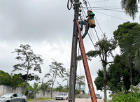 Cabos de telefonia inutilizados são retirados dos postes